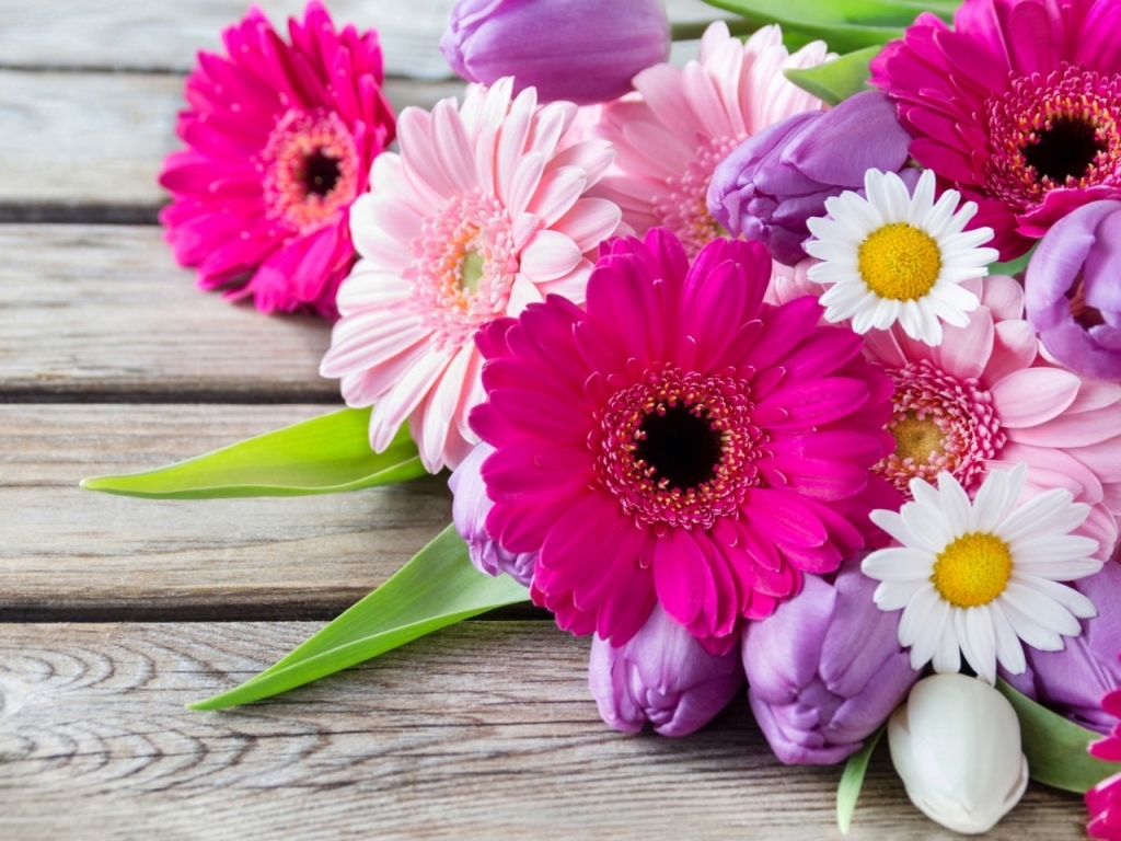 Gerberas y Tulipanes; flores para tu ramo de novia | Bodas