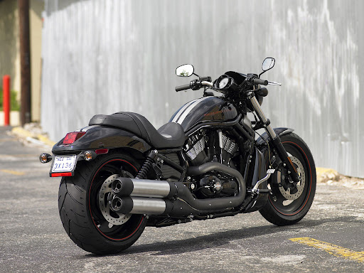 harley davidson vrscdx