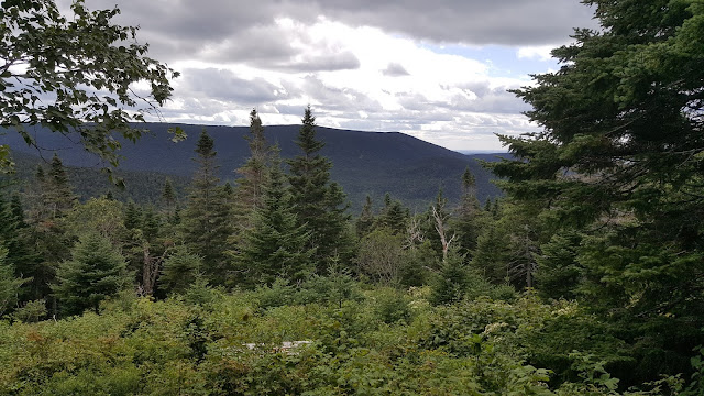 Vue sur le sentier en direction du mont Saint-Magloire