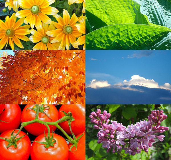 SpringLeaf Studios: My Best of 2015