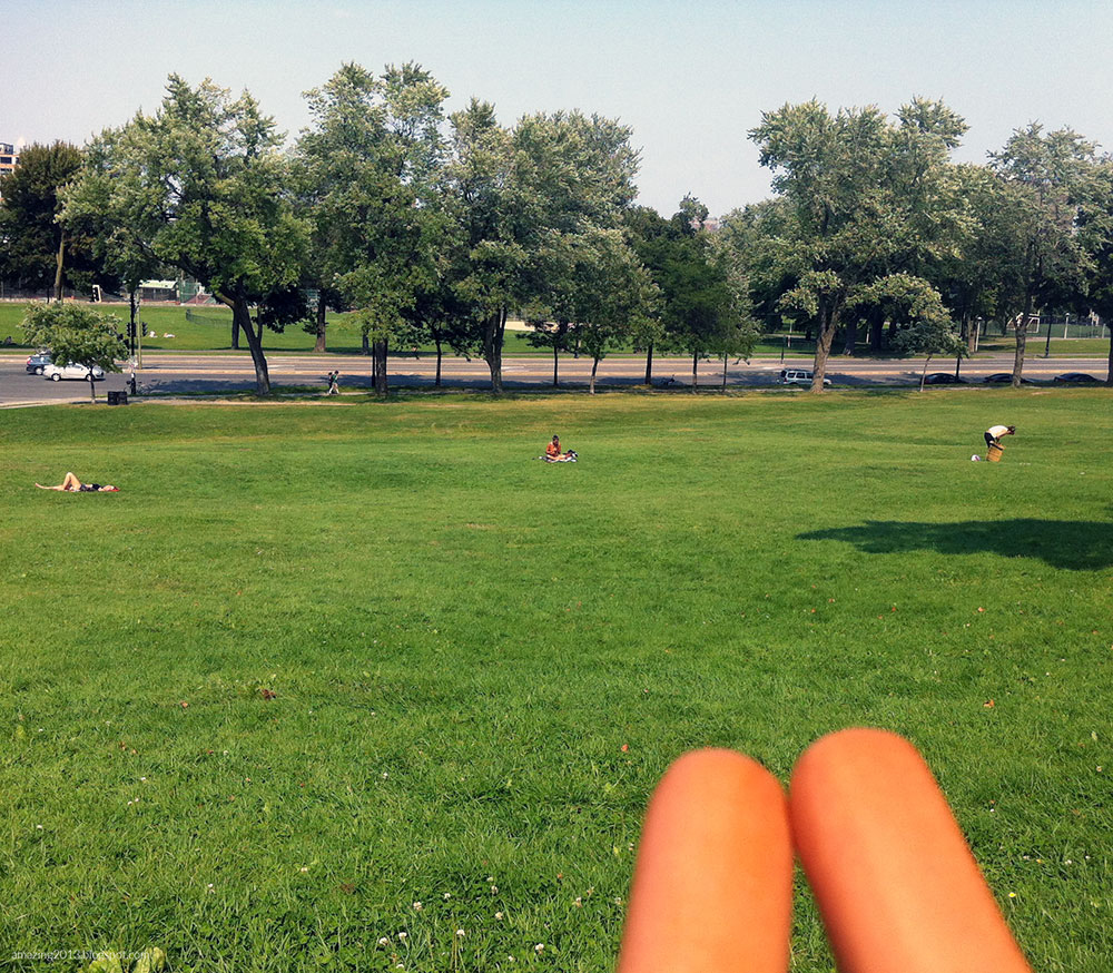 Amazing 2013 Hot Dogs or Legs? (20 pics)