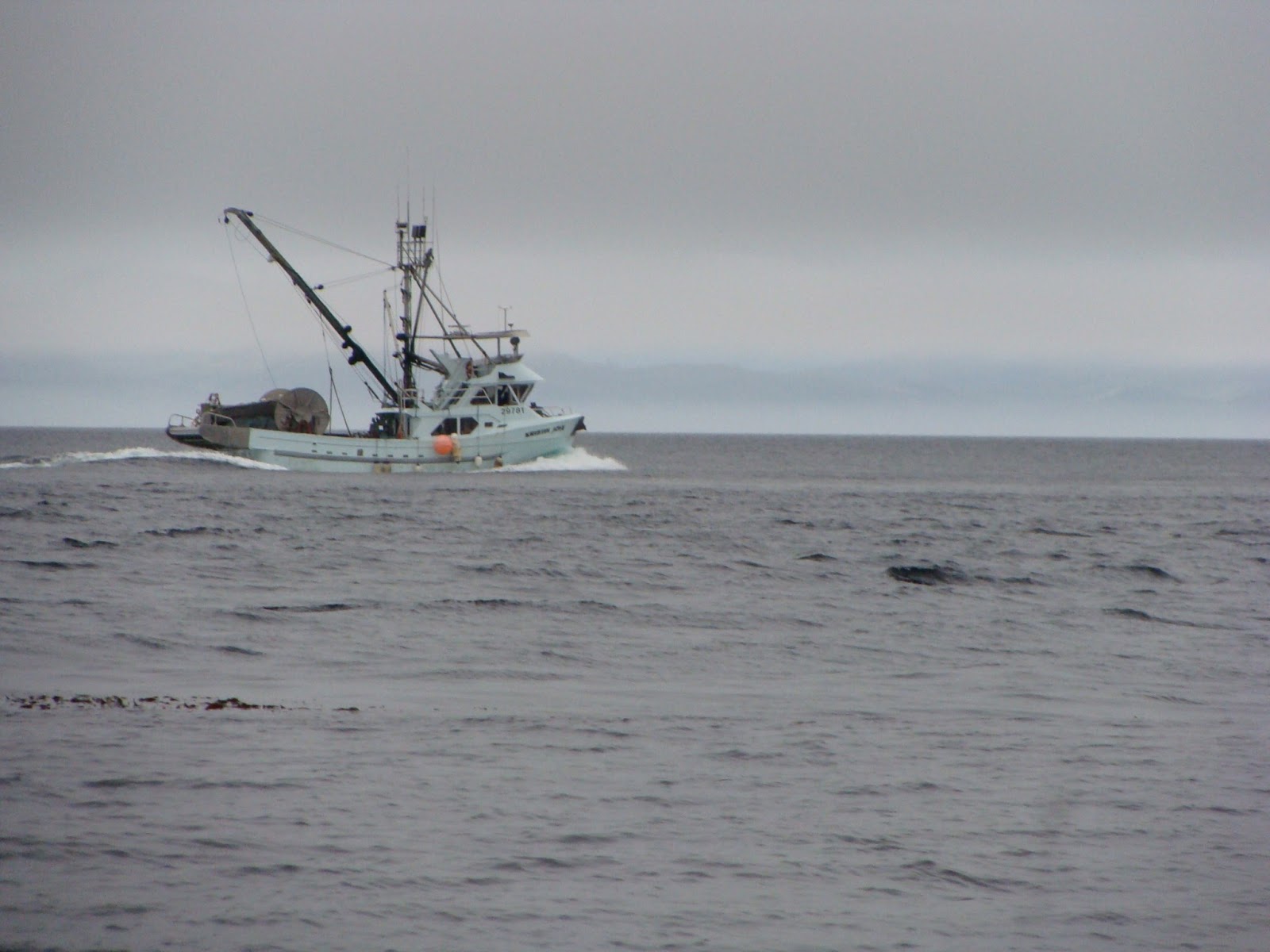 BC Oceanfront: Marine Traffic