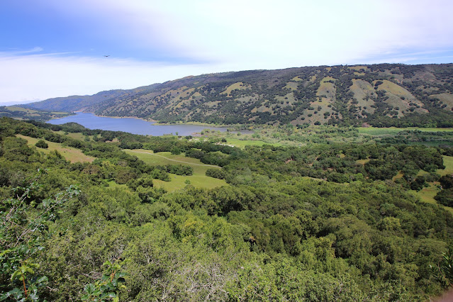 Coyote Lake County Park