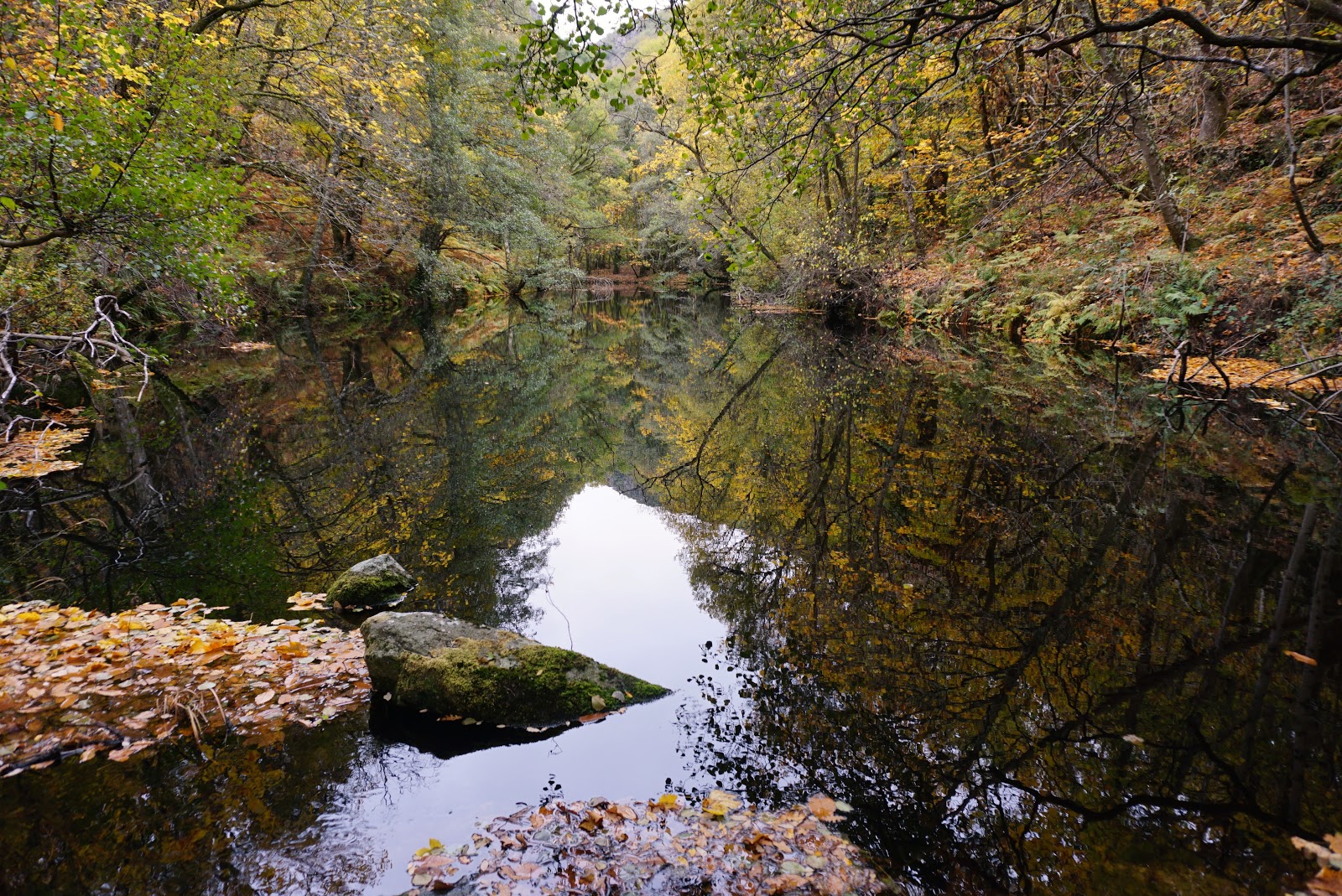MINDFULNESS Y NATURALEZA RUTAS CONSCIENTES Cañón del río Mao, la