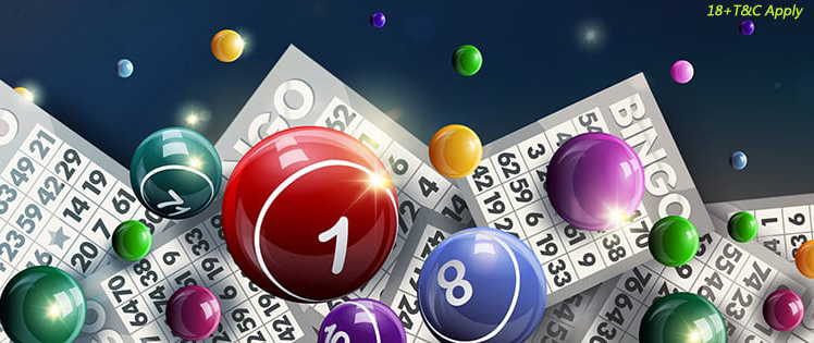 Bingo Bingo