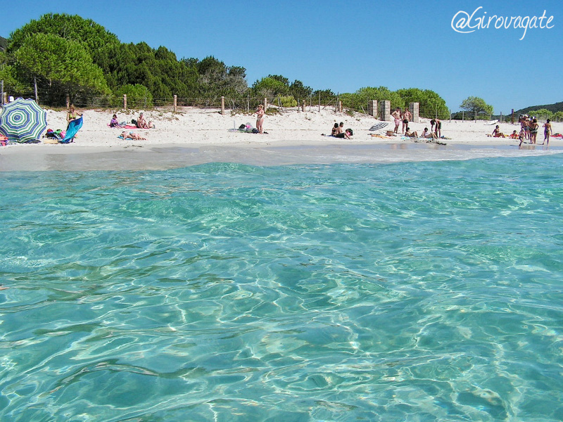 spiaggia palombaggia sardegna