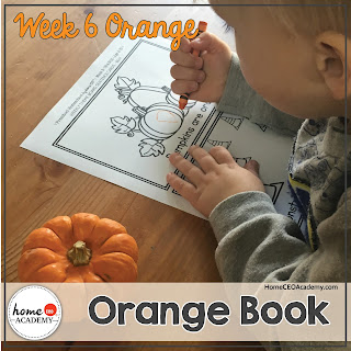 https://www.teacherspayteachers.com/Product/Preschool-Orange-Weekly-Unit-for-Preschool-PreK-or-Homeschool-3009789