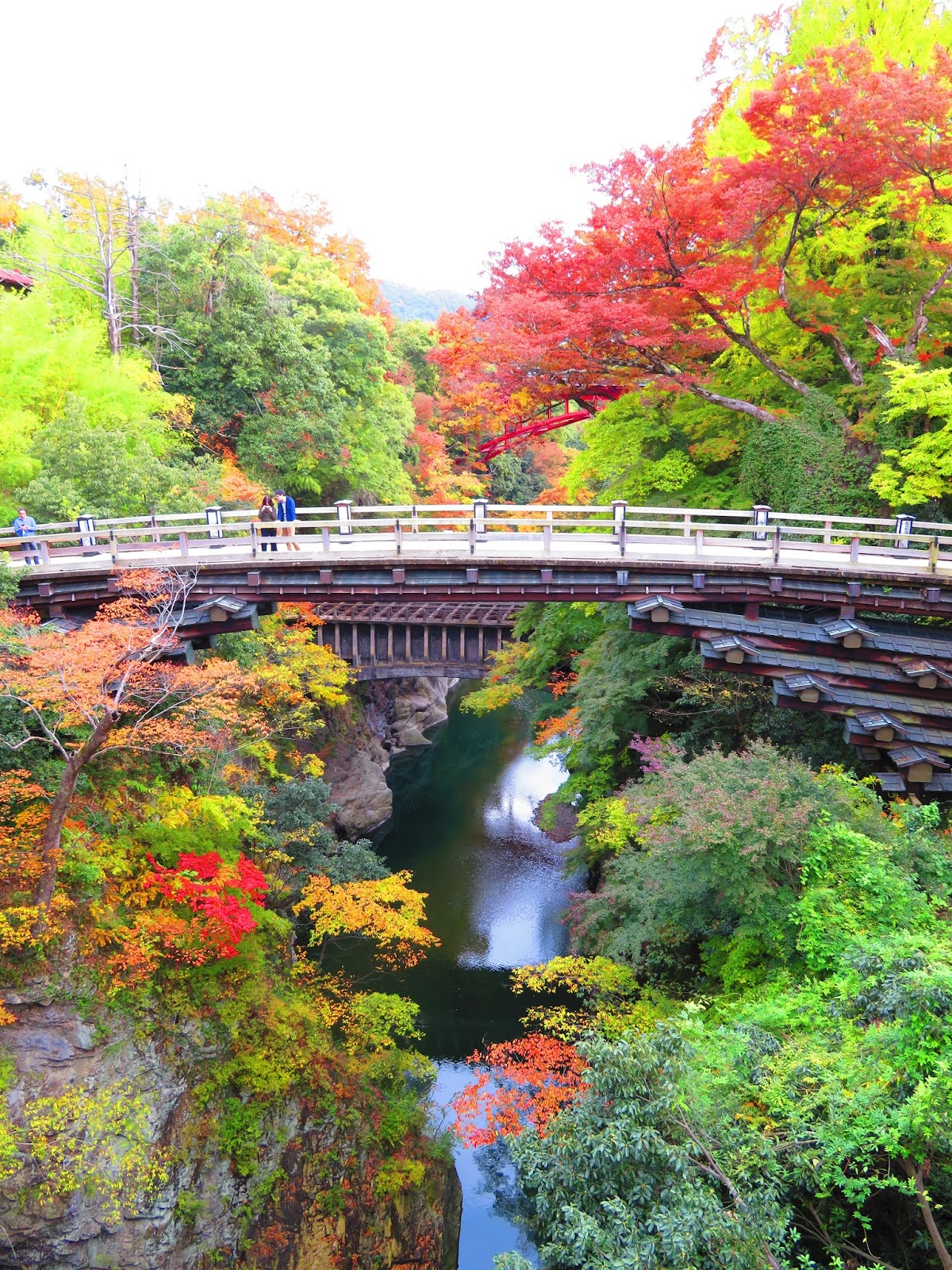 南アルプスのしずく 紅葉16 色づく日本三奇橋 猿橋