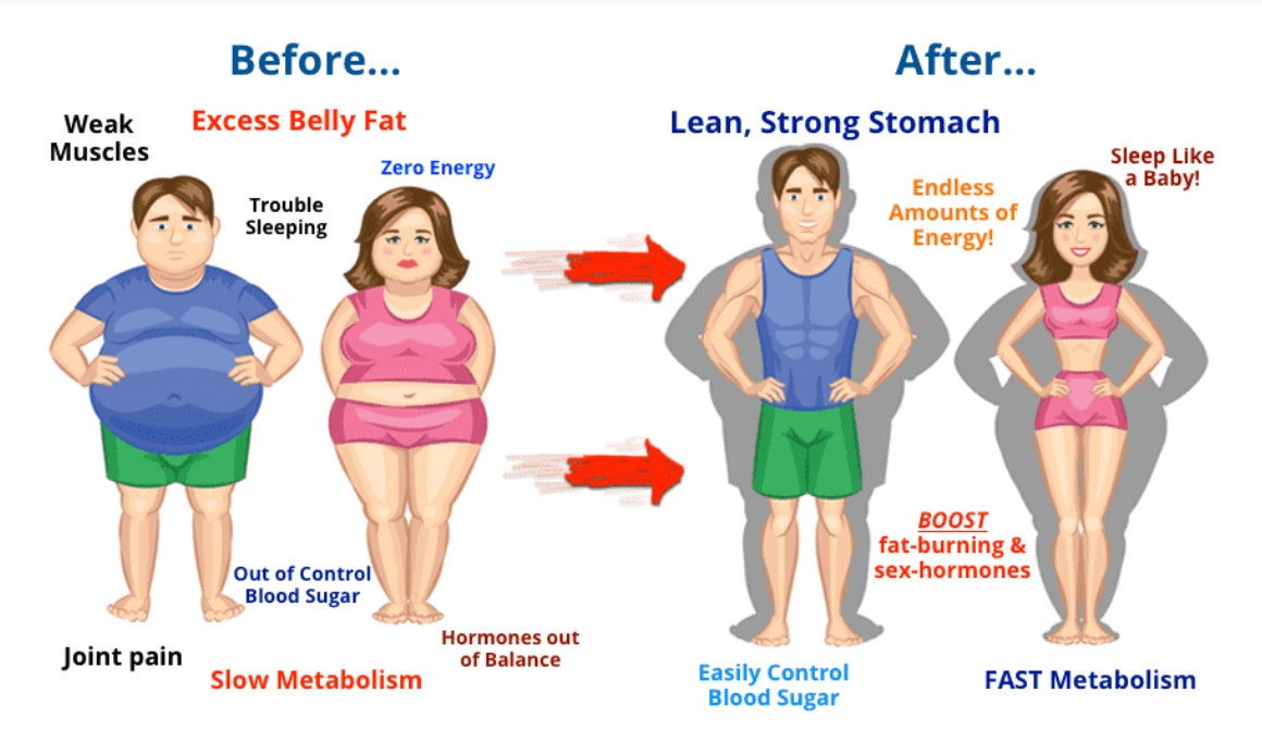 The Fat Burning Kitchen