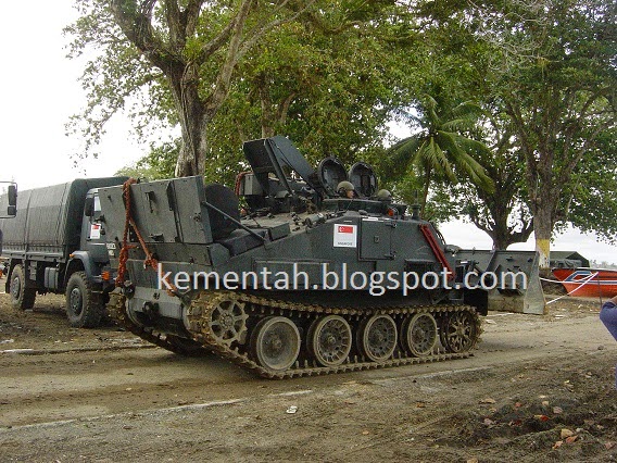 Senang Diri: 10th anniversary of the Singapore Armed Forces' (SAF ...