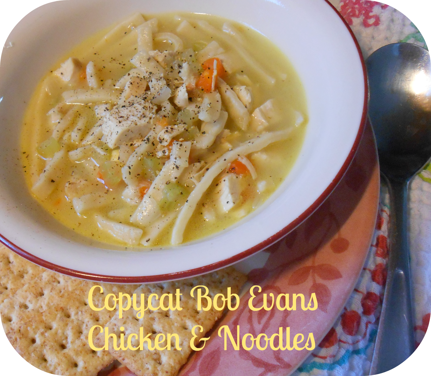 The Better Baker Copycat Bob Evans Chicken & Noodles (Soup)