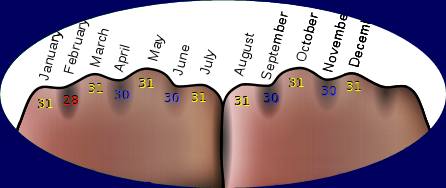 How to remember the number of days in each month?