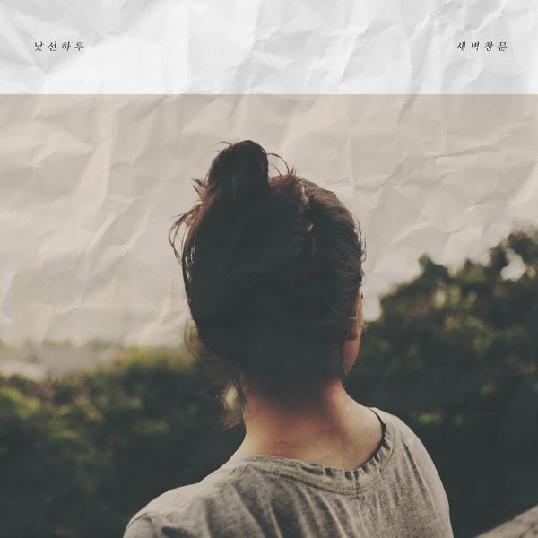 Dawn window – an unfamiliar day – Single