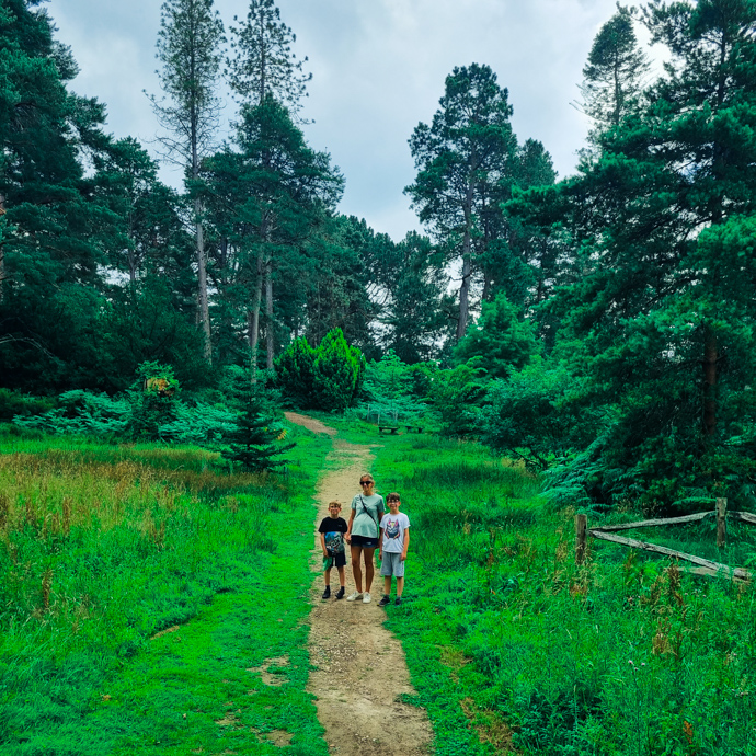 Bedgebury pinetum, Bedgebury with kids, family days out in Kent