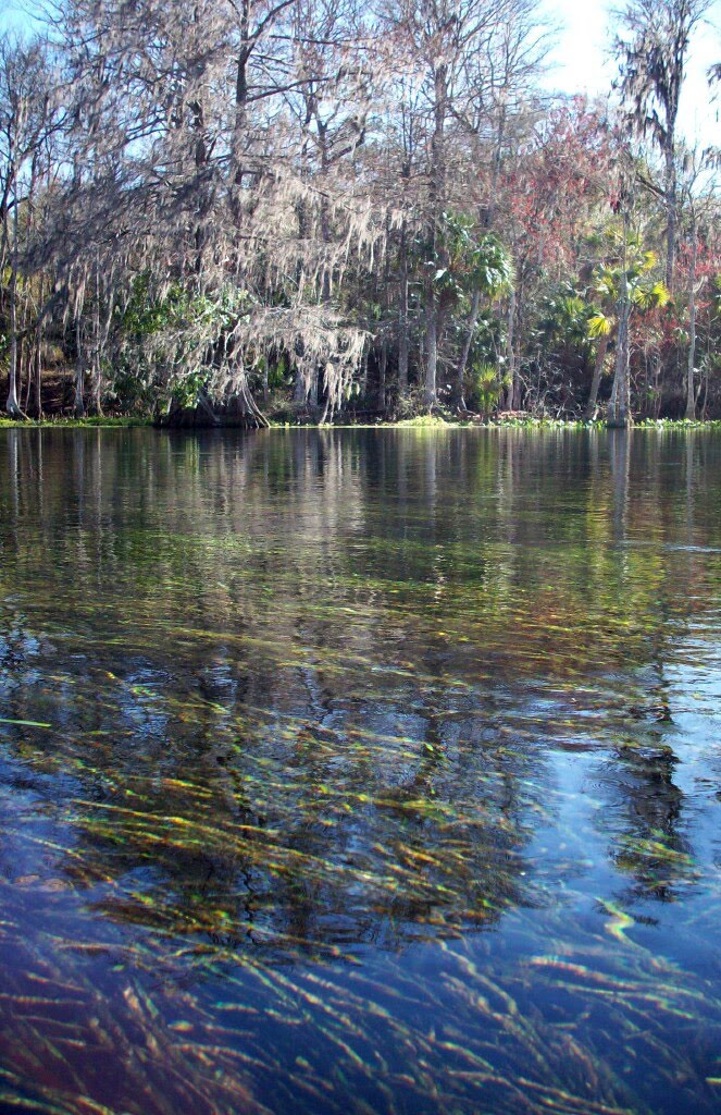 Gary and Delys RV Travels Kayaking Ocala National Forest