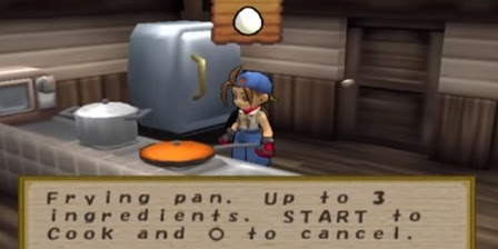 House Upgrades - Harvest Moon: Save the Homeland Guide and Walkthrough