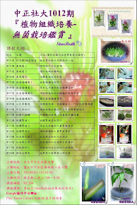 台北市中正社大1012期-植物組織培養課程招生海報