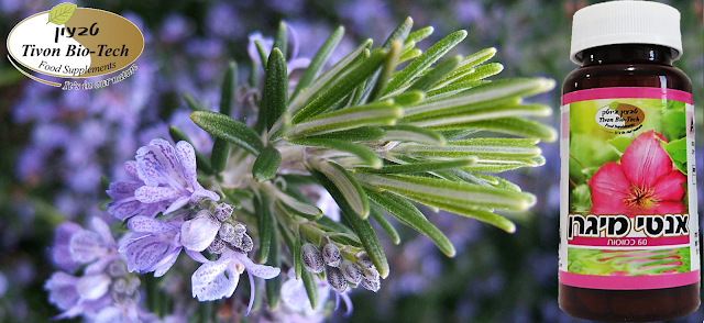 כאבים מכאובים בראש במצח ובמוח