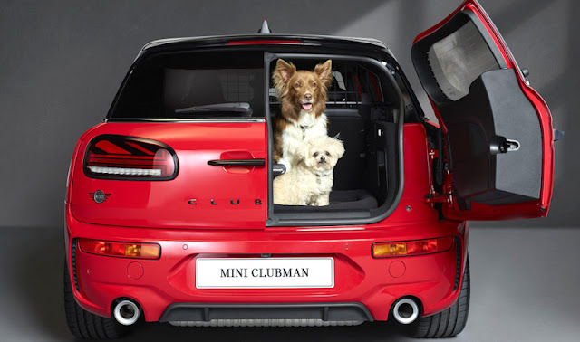 Dogs like cars and cats normally dislike them