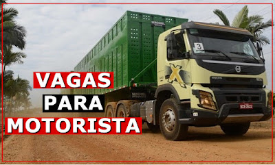 vaga para motorista canavieiro