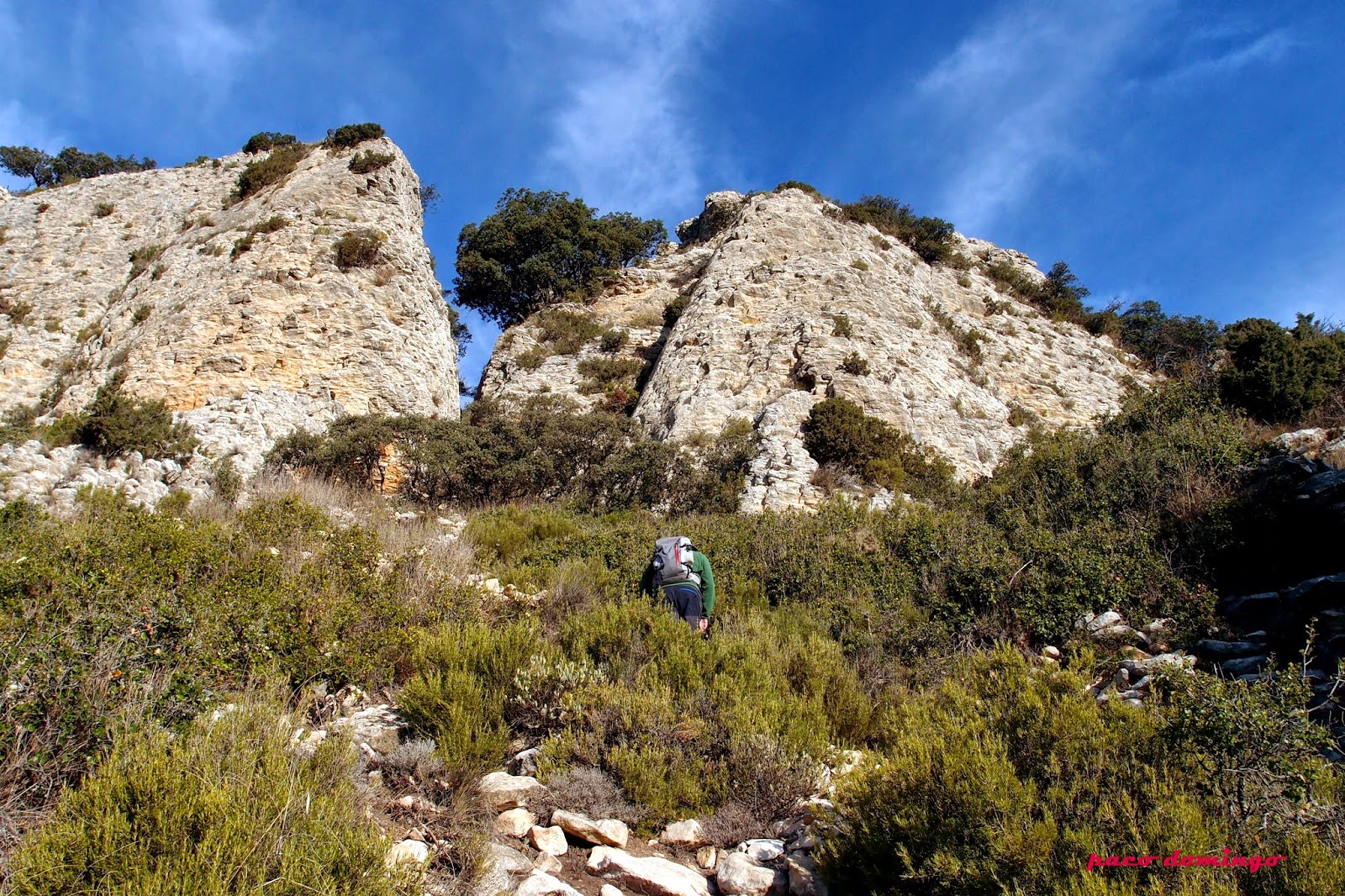 SUBE Y BAJA: DESPENYADOR - CRESTERÍA DE LA SERRA DEL FRARE - ALT DE