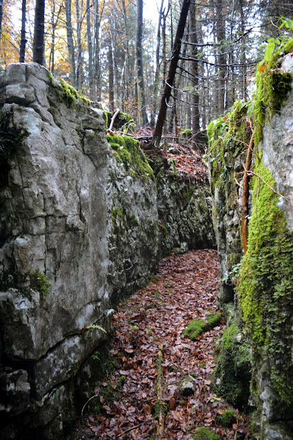 labirinto monte corno