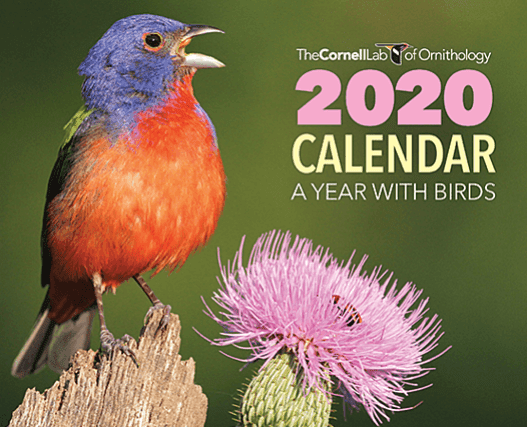 FREE 2020 Cornell Lab Calendar - Free Samples & Freebies - Freebies2you.com