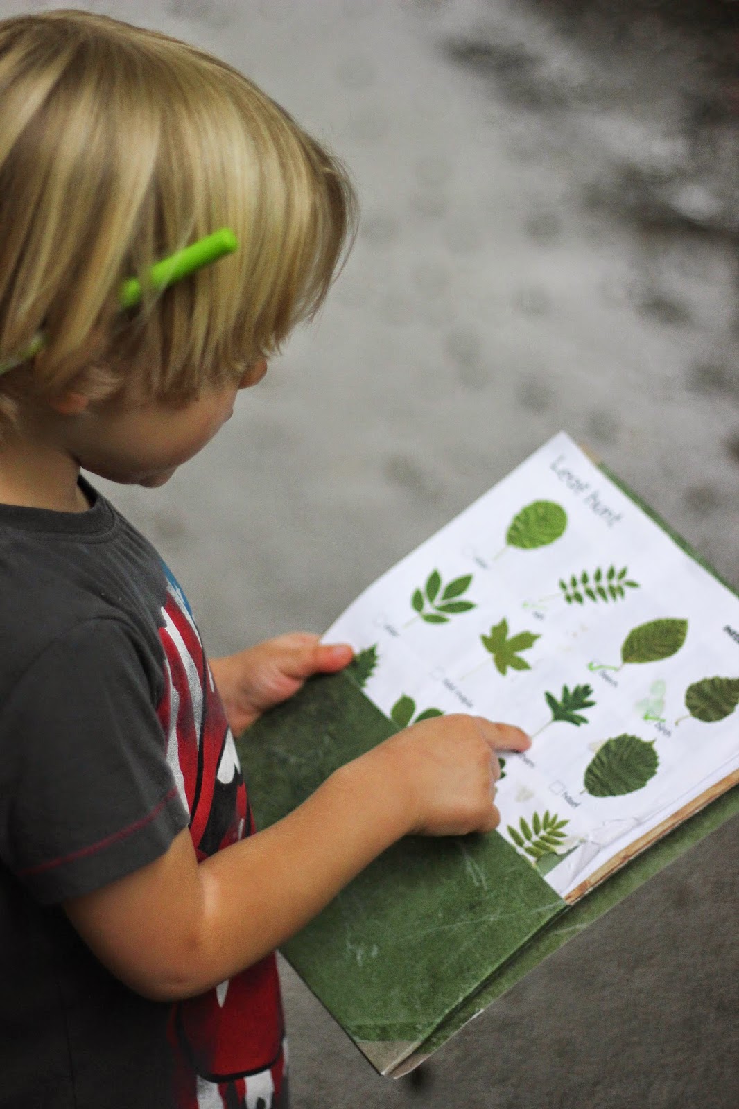 leaf spotter sheet