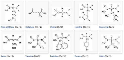 o - Pragas e Eventos