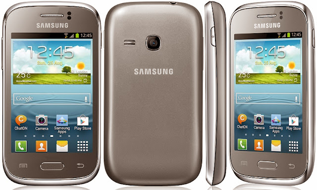 Samsung Galaxy Young Metallic Silver