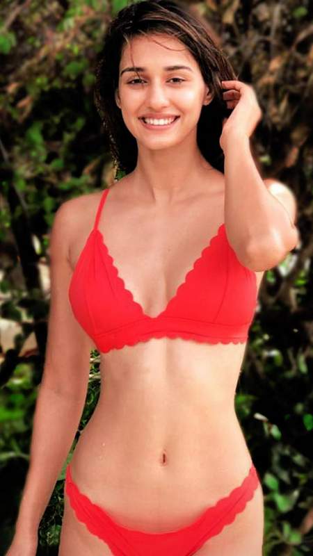 Disha Patani Bikini Image Bollywood Actress Hot Images