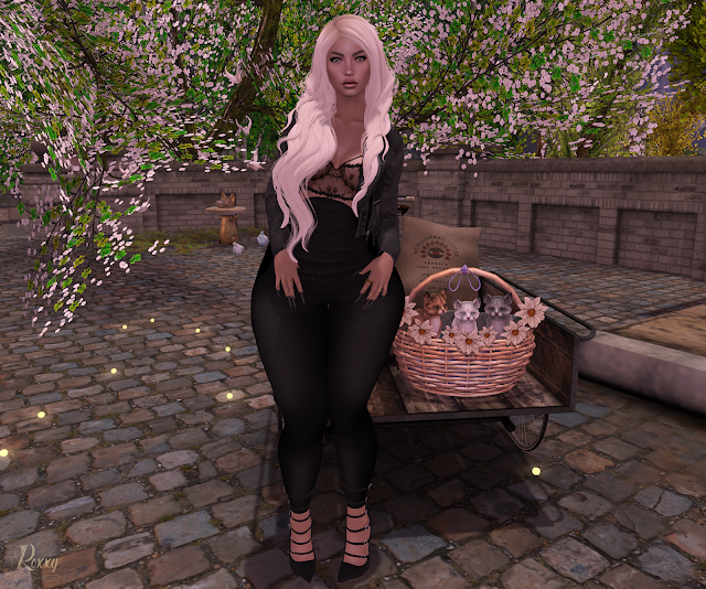 https://www.flickr.com/photos/94708785@N03/26382242651/in/dateposted-public/