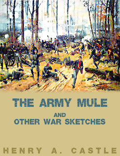 army, mule, war, sketches, military, history, henry a. castle