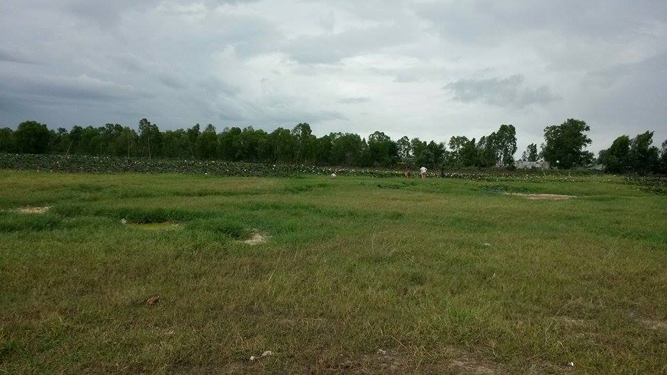 ដីធំសម្រាប់លក់នៅភ្នំពេញថ្មី Big Land for Sales in Phnom Penh Thmey