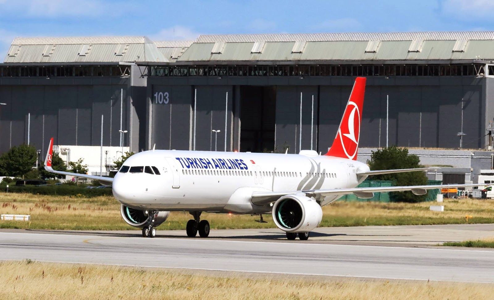 turkish airlines delayed baggage