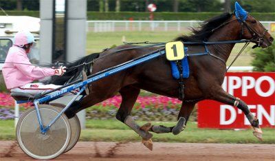 Quinté 22-02-2021 - R1C1 PRIX DE CHALLANS