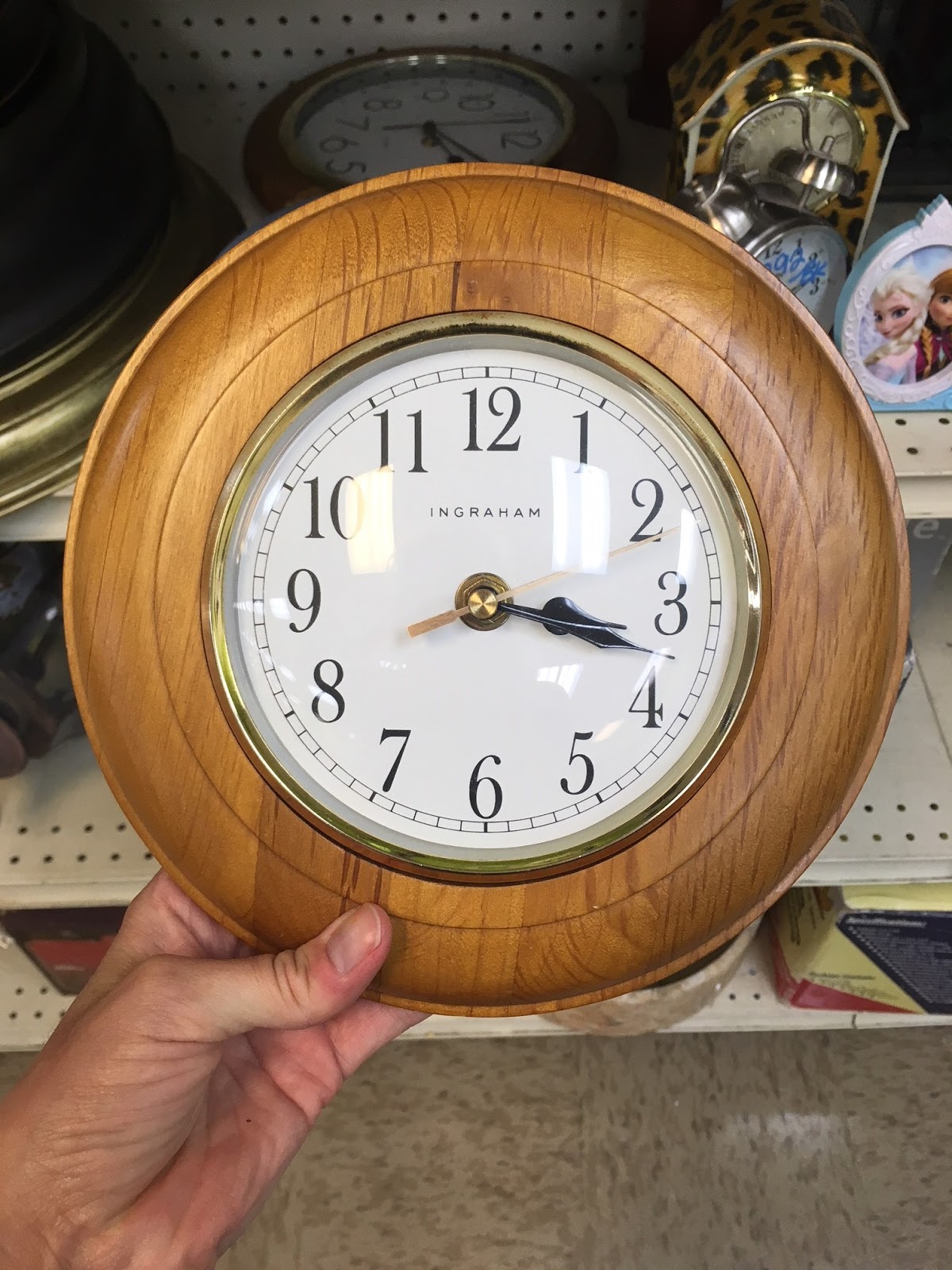 Spotted Goodwill Bean In Love