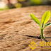 Binance Labs extinde programul incubator start-up la 5 noi orașe