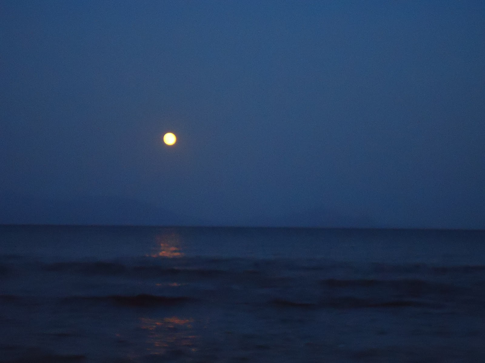 Поцелуй луны и моря