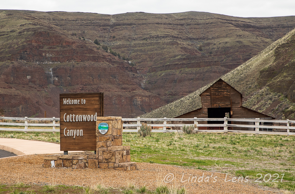 Linda's Lens Three Days at Cottonwood Canyon