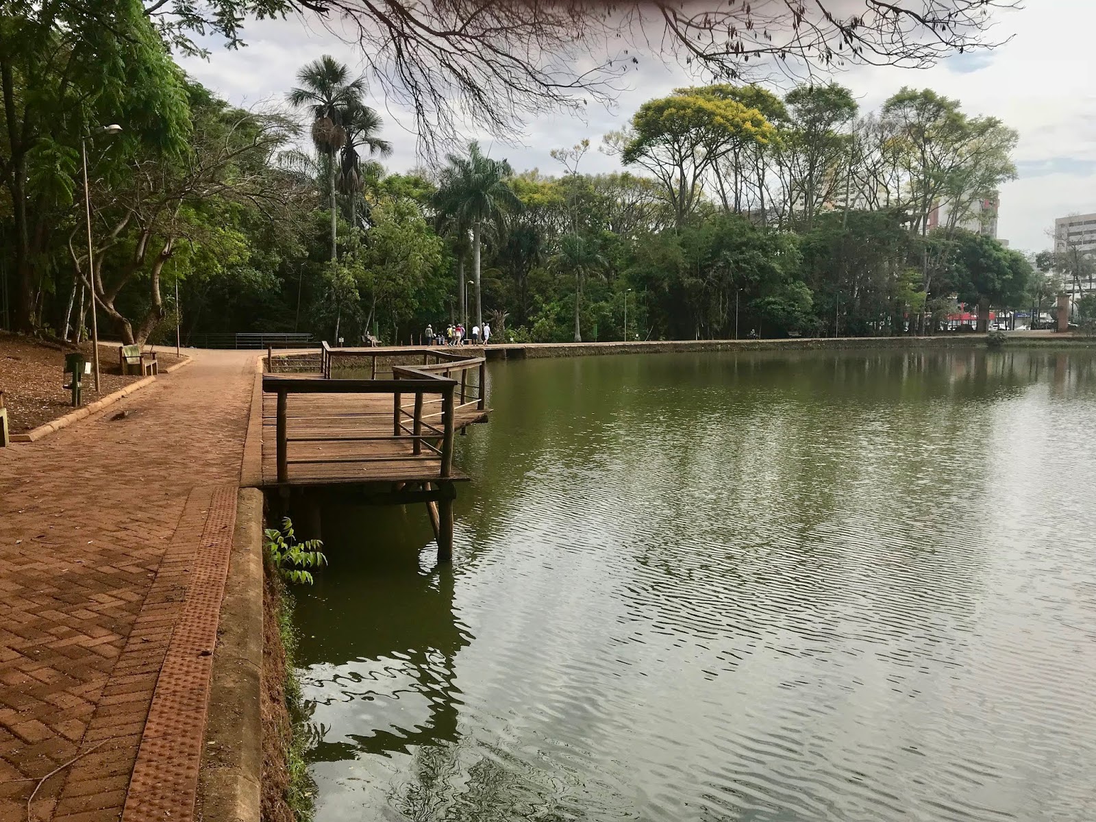 Bosque dos Buritis em Goiânia (GO) Áreas Verdes das Cidades Guia de Parques