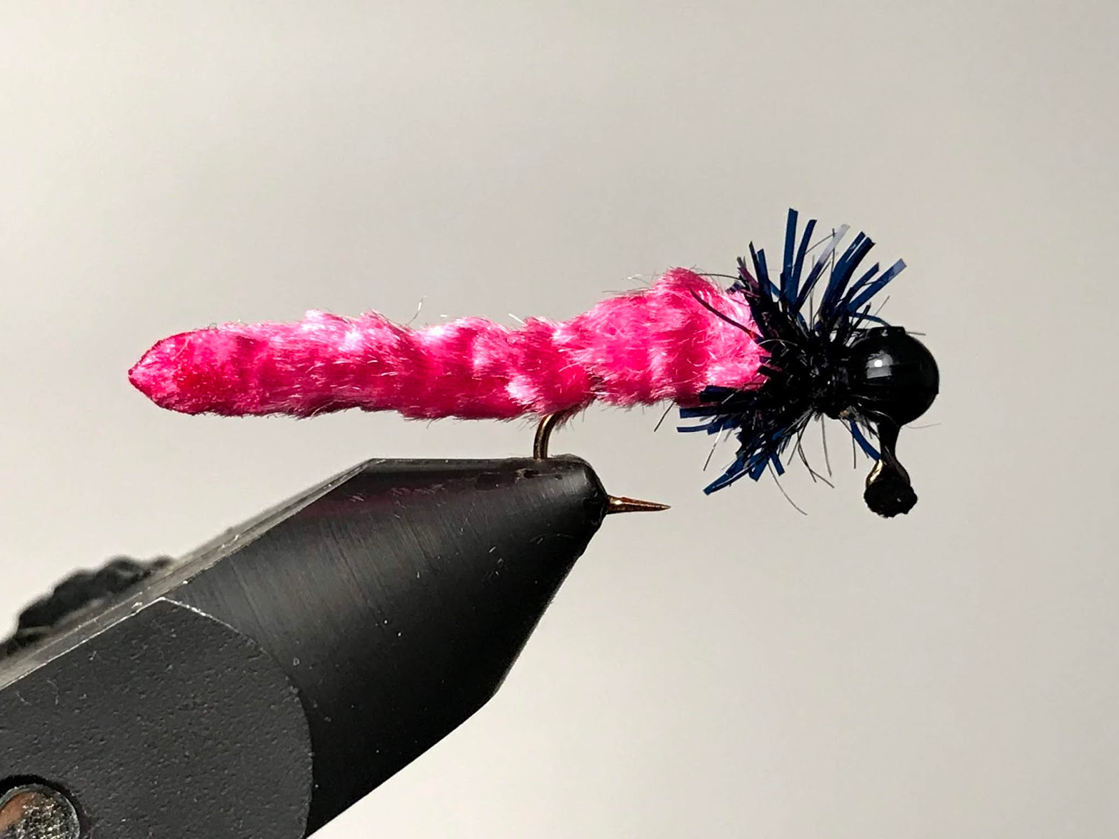 The Show Me Fly Guy Laser Bream and More About That Fly From Yesterday