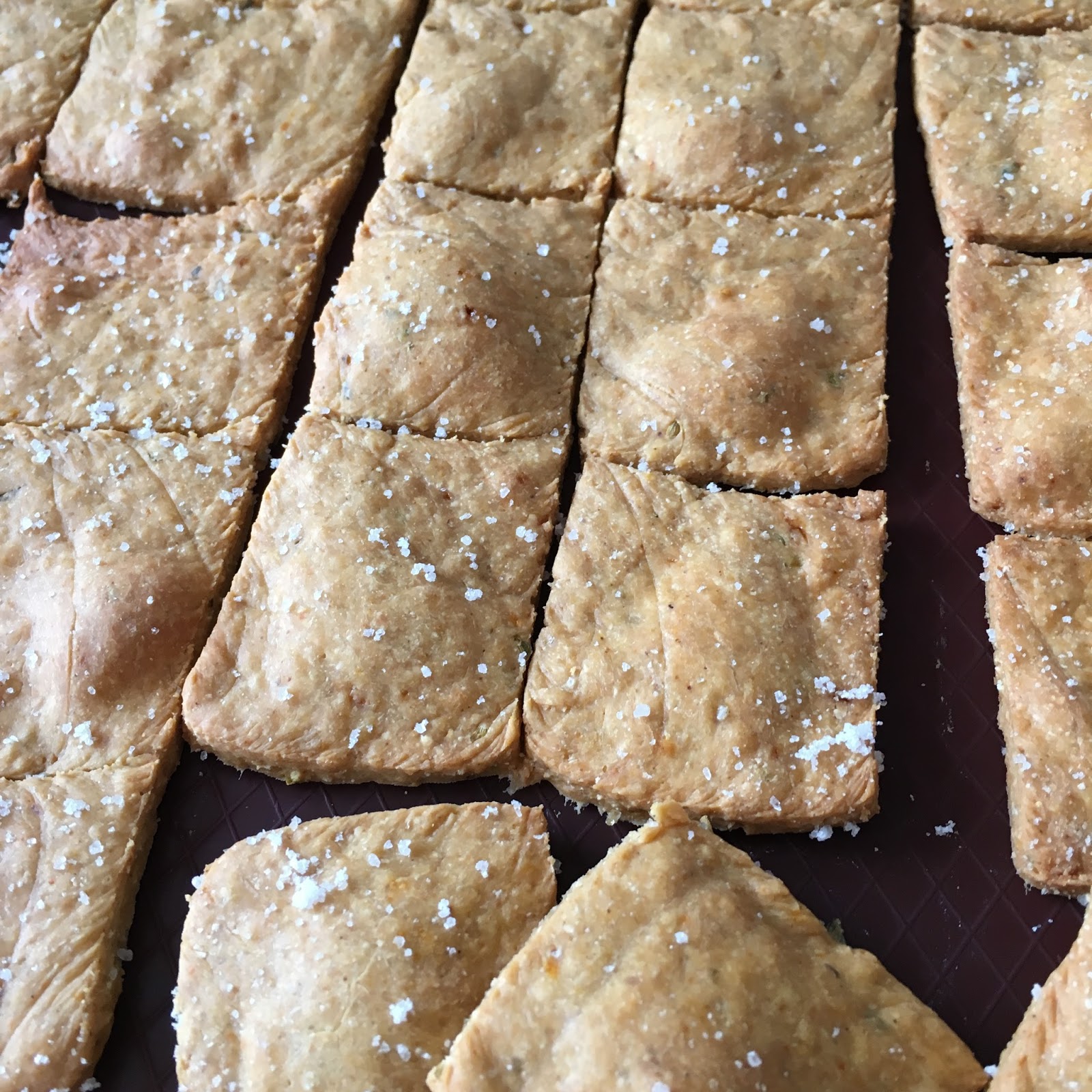 THE VOLUPTUOUS VEGETARIAN chickpea flour crackers