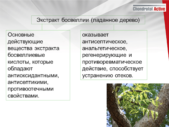 купить артлайф Артлайф Беларусь в Гомеле, Минске, Бресте, Могилеве, Витебске, Гродно