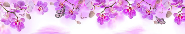  Орхидеи фиолетовые и бабочки