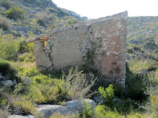 Corral de Foquio, Mondúver