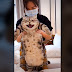 Picture and video of TikTok chonky tabby cat
