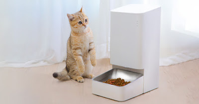 cat feeder automatic