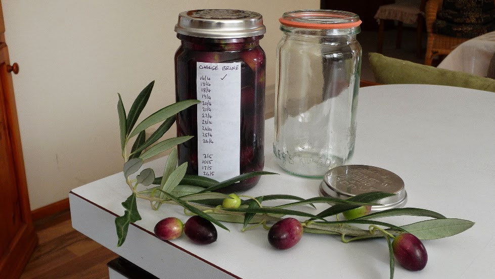 Preserving Garden Produce Pickling Olives