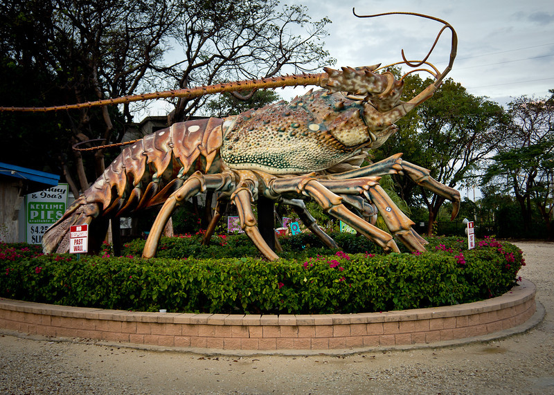 Me On The East Coast Our giant lobster can beat your giant lobster
